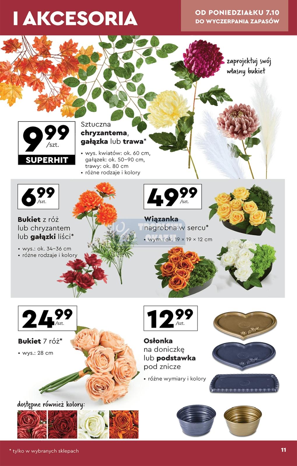 Gazetka promocyjna Biedronka str. 11