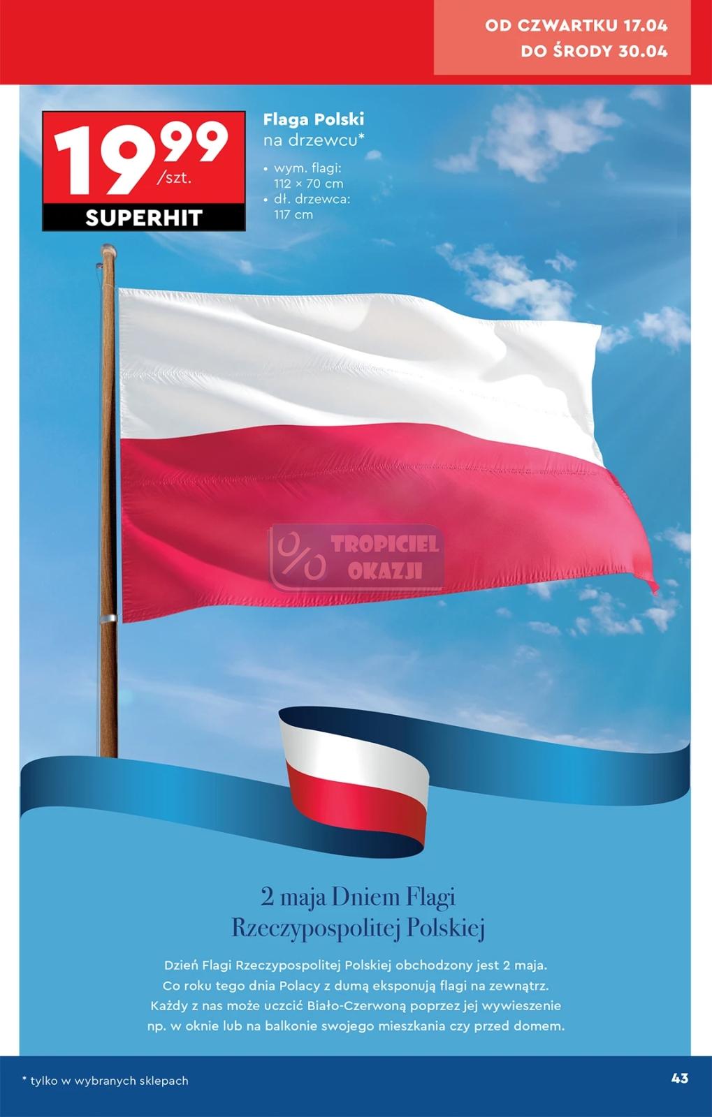 Gazetka promocyjna Biedronka str. 43