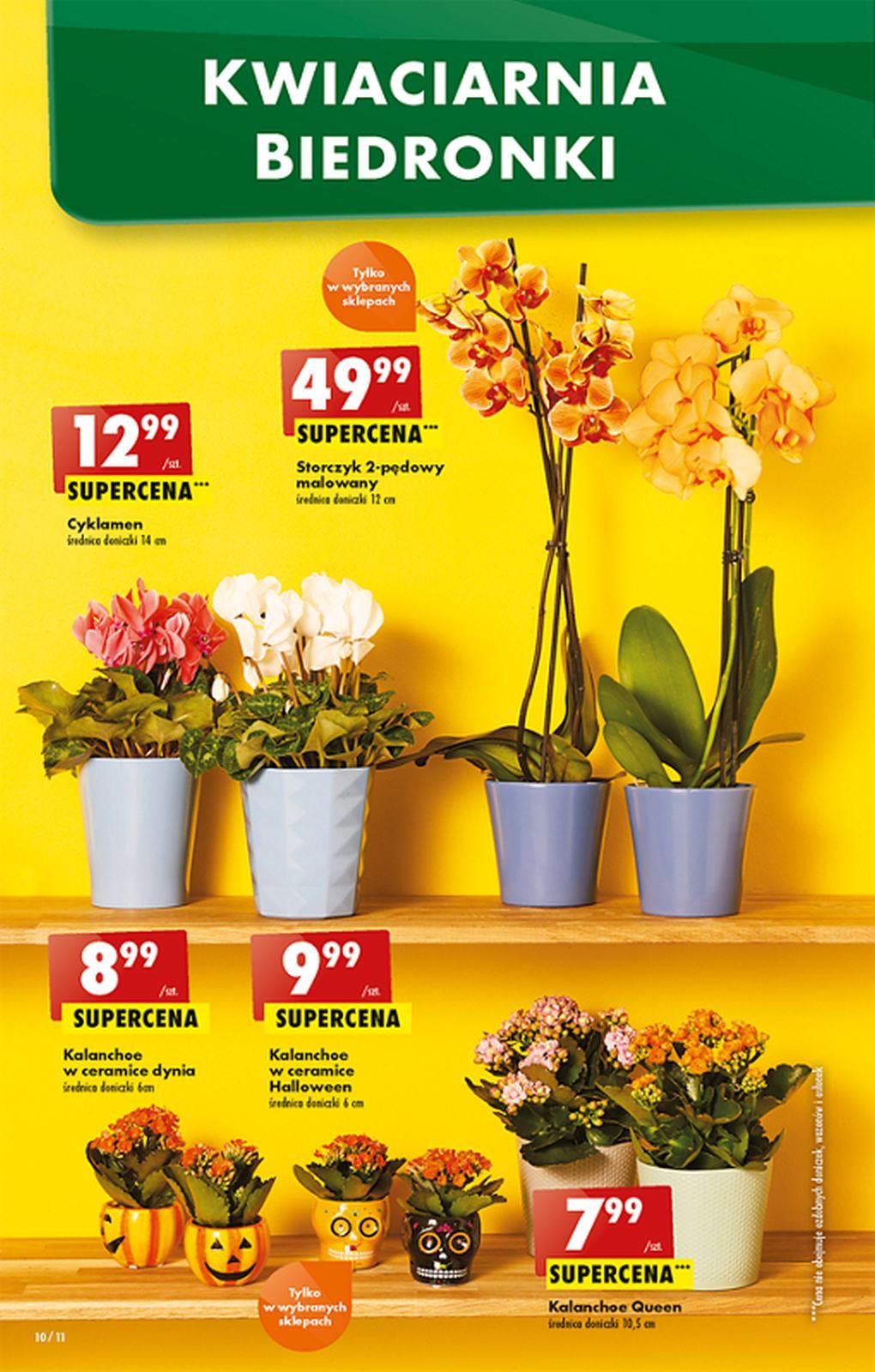 Gazetka promocyjna Biedronka str. 10