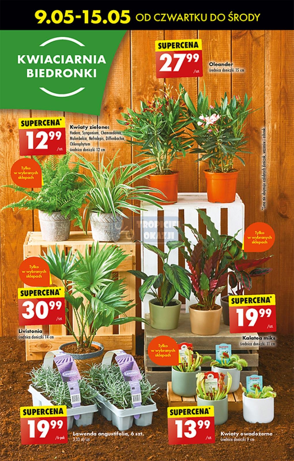 Gazetka promocyjna Biedronka str. 55