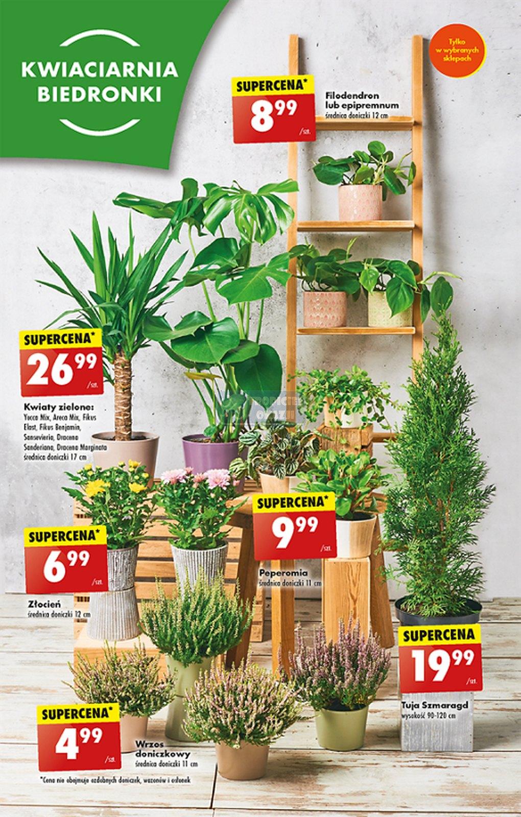 Gazetka promocyjna Biedronka str. 56