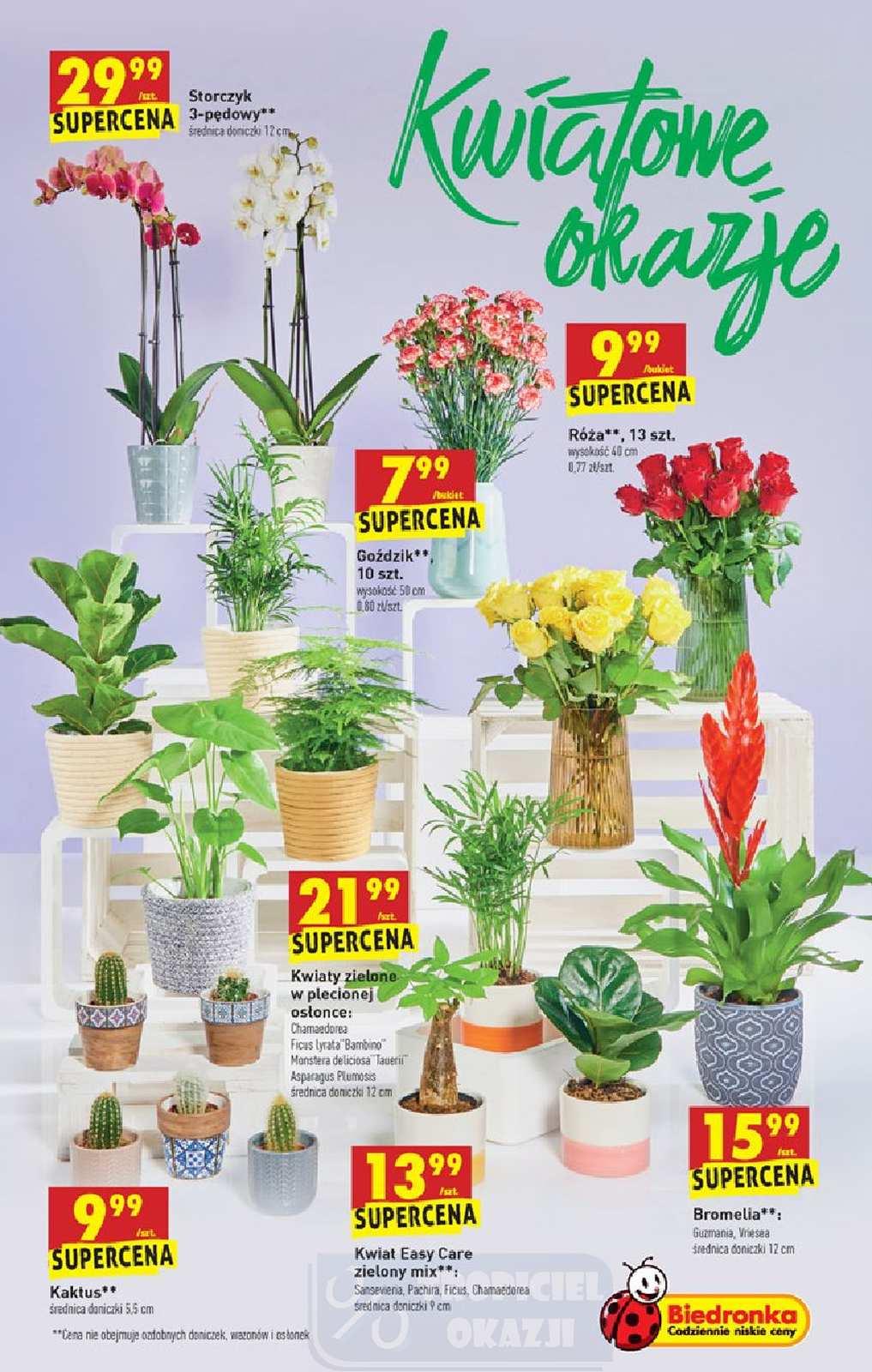 Gazetka promocyjna Biedronka str. 55