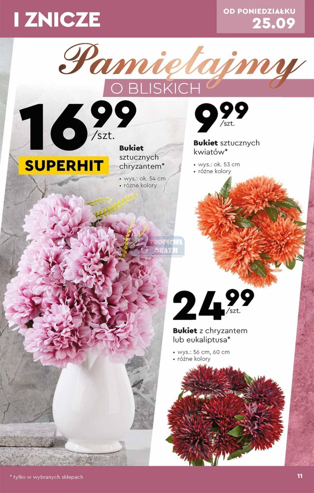 Gazetka promocyjna Biedronka str. 11