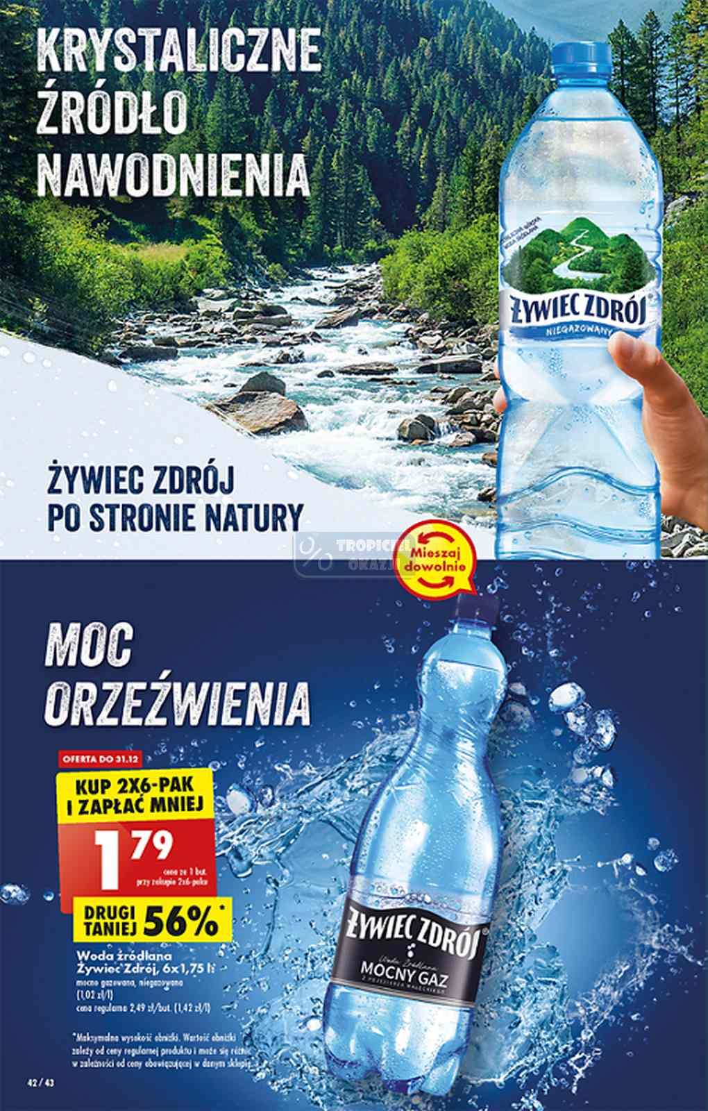 Gazetka promocyjna Biedronka str. 42