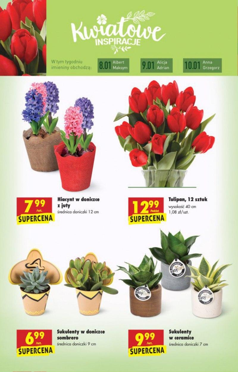 Gazetka promocyjna Biedronka str. 53