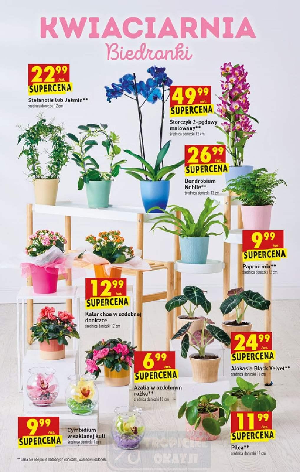 Gazetka promocyjna Biedronka str. 15