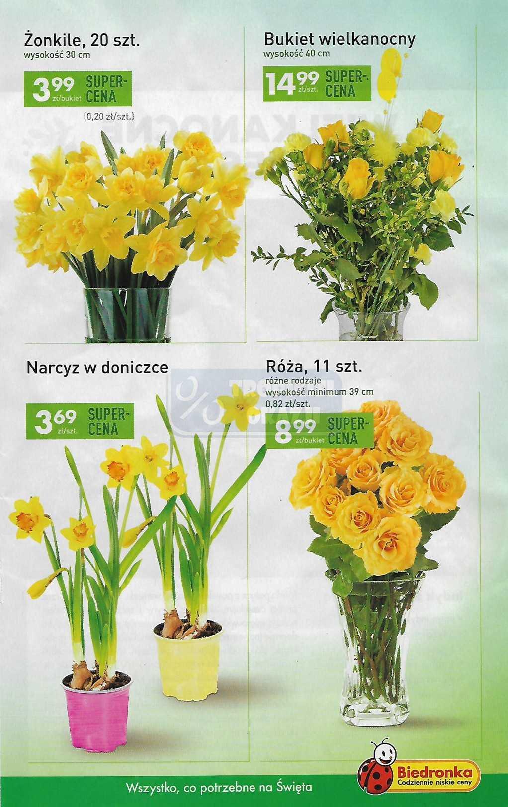 Gazetka promocyjna Biedronka str. 17