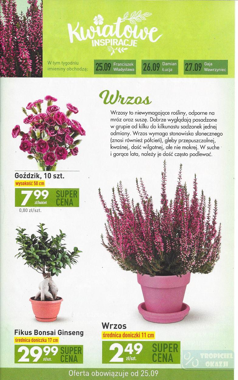 Gazetka promocyjna Biedronka str. 35