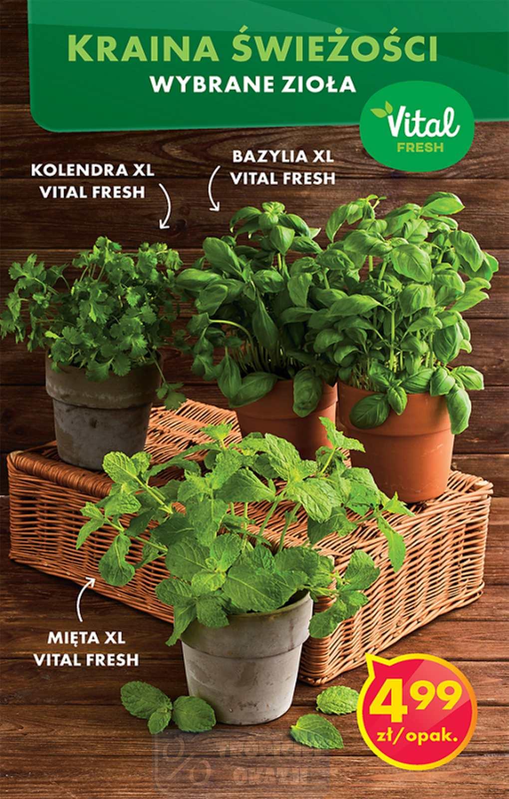 Gazetka promocyjna Biedronka str. 57