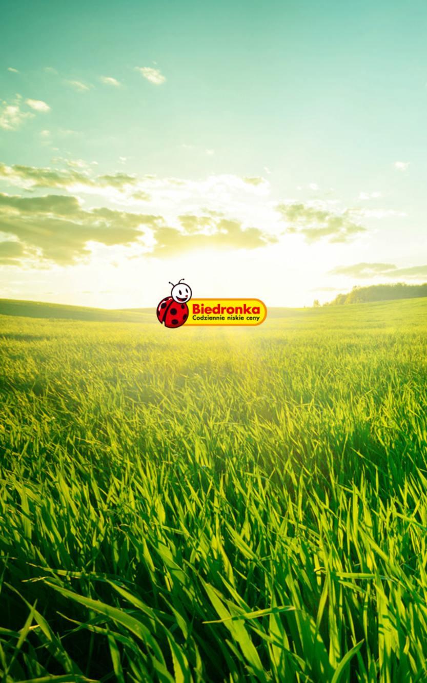 Gazetka promocyjna Biedronka str. 30