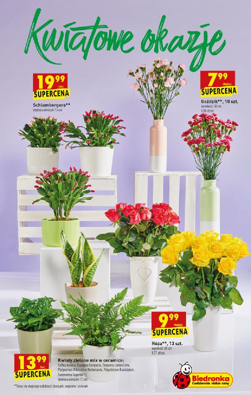 Gazetka promocyjna Biedronka str. 63