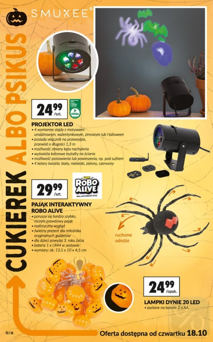 Gazetka promocyjna Biedronka str. 22