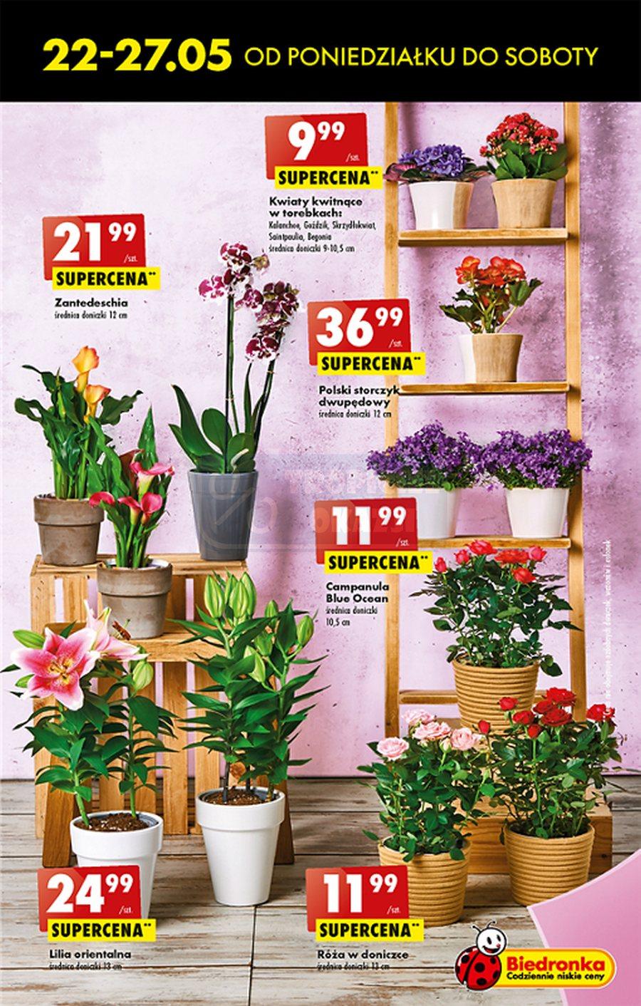 Gazetka promocyjna Biedronka str. 5