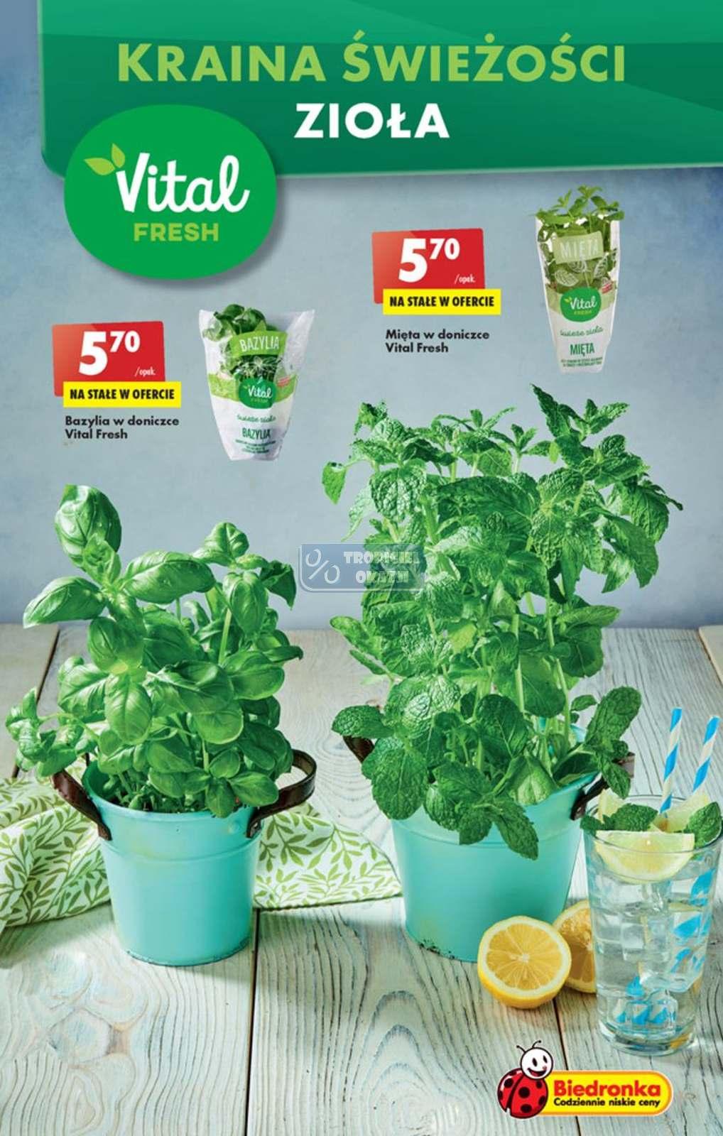 Gazetka promocyjna Biedronka str. 23