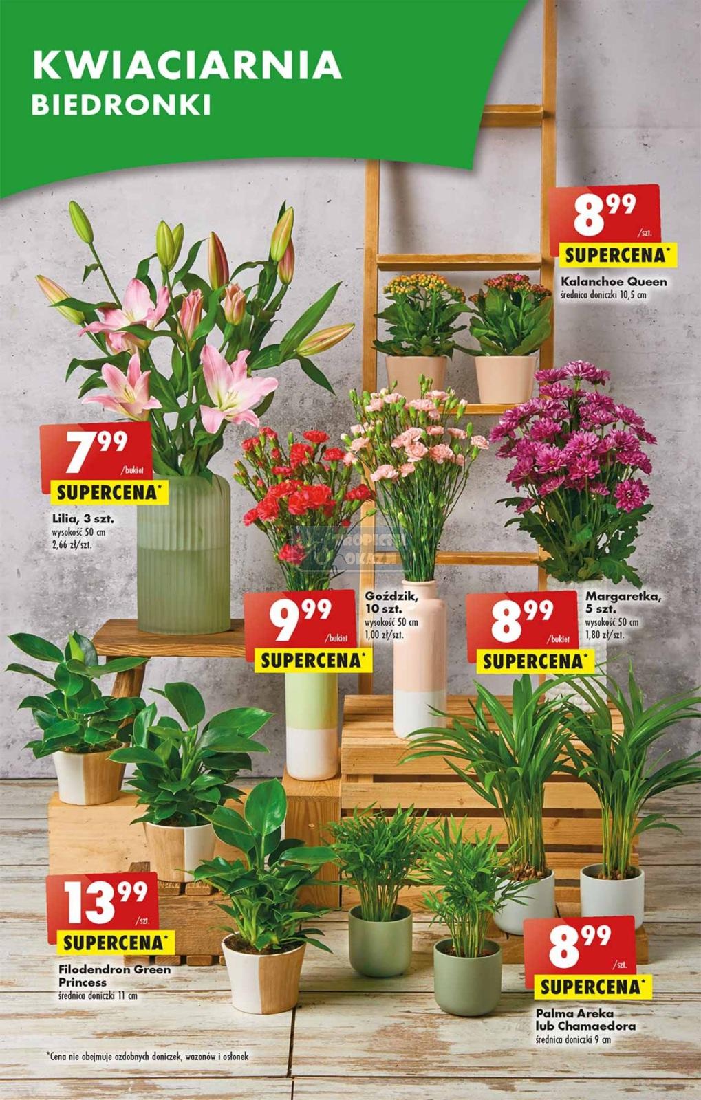 Gazetka promocyjna Biedronka str. 57