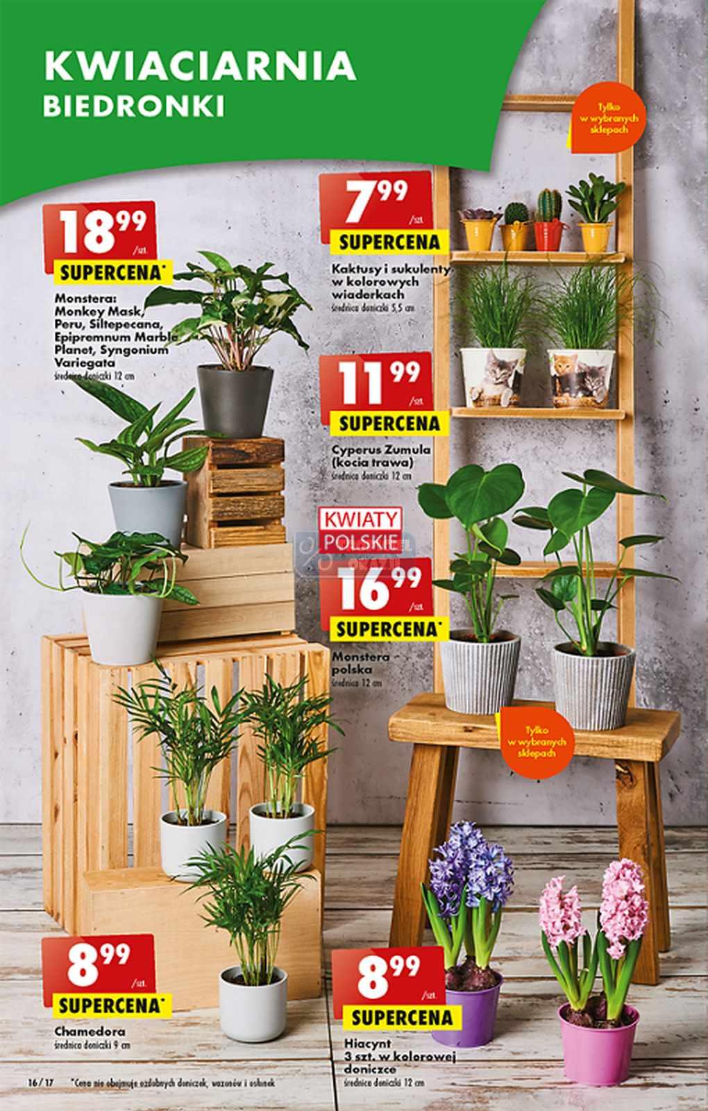 Gazetka promocyjna Biedronka str. 16