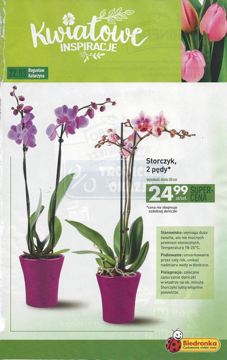 Gazetka promocyjna Biedronka str. 7