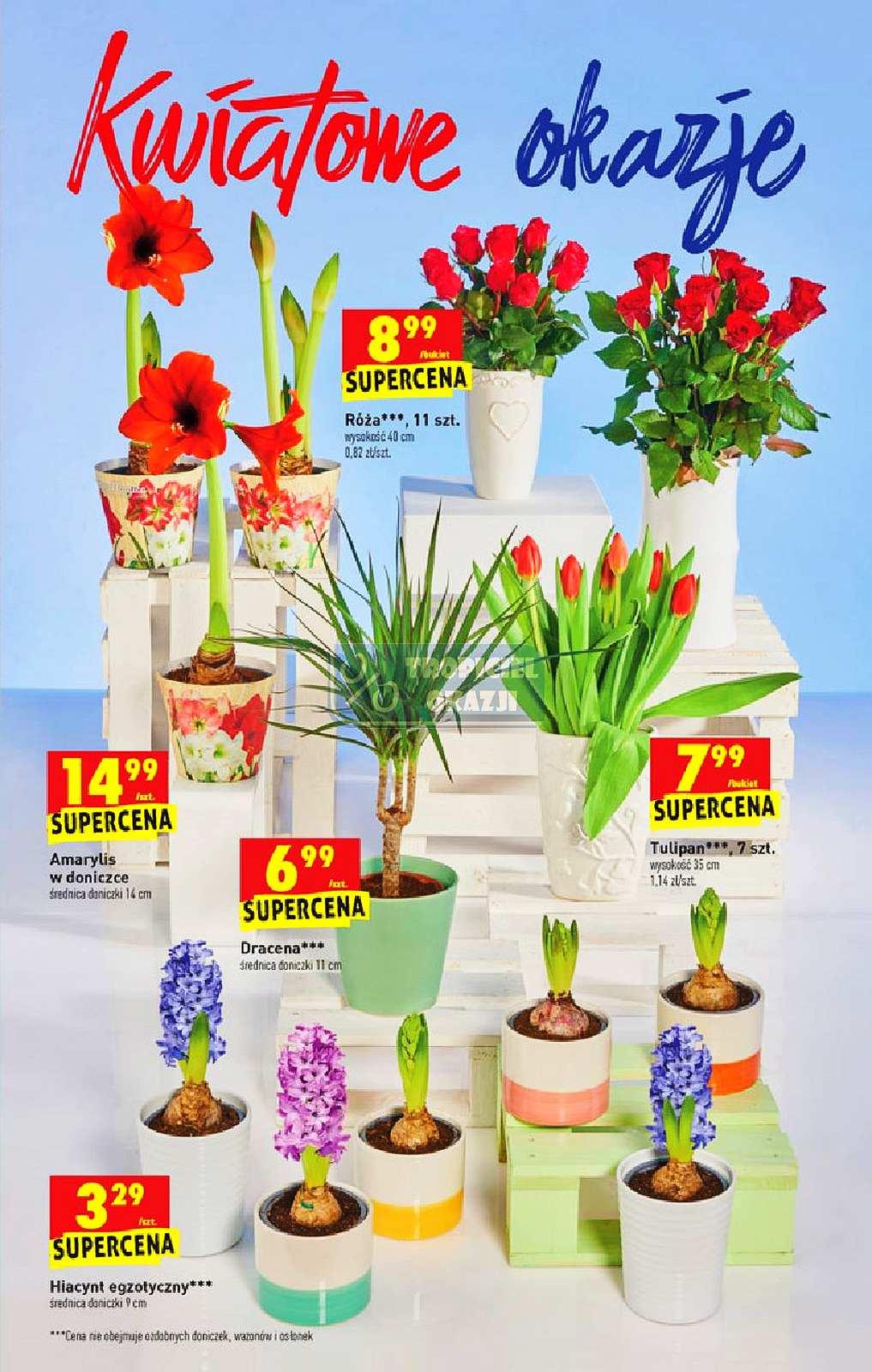 Gazetka promocyjna Biedronka str. 53