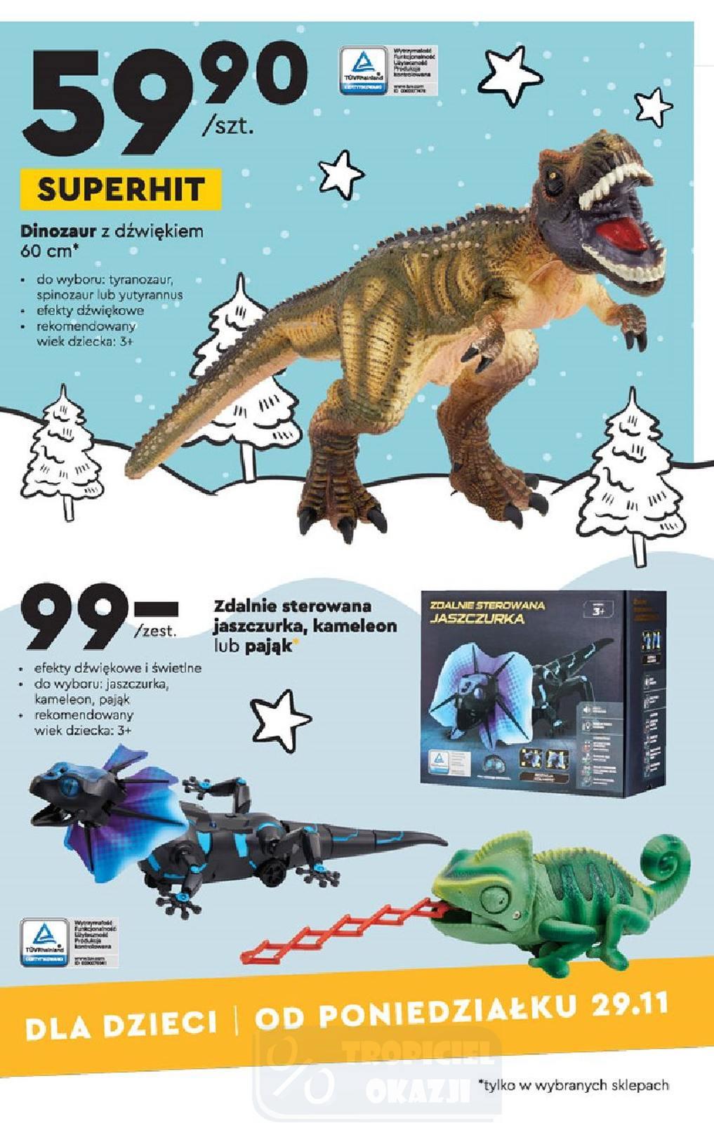 Gazetka promocyjna Biedronka str. 13