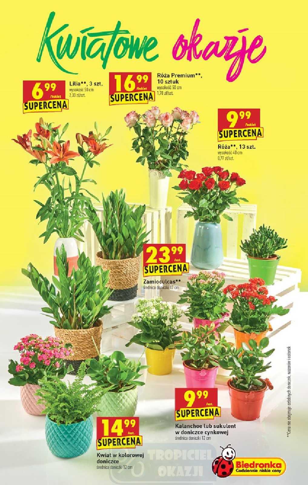 Gazetka promocyjna Biedronka str. 55