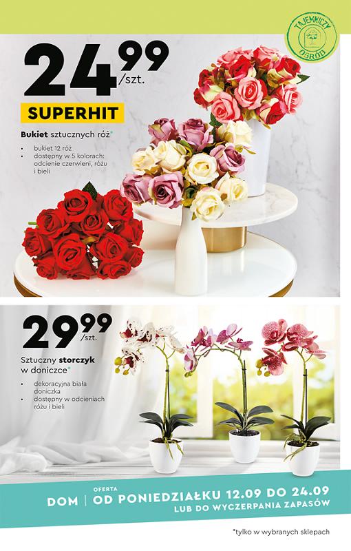 Gazetka promocyjna Biedronka str. 15