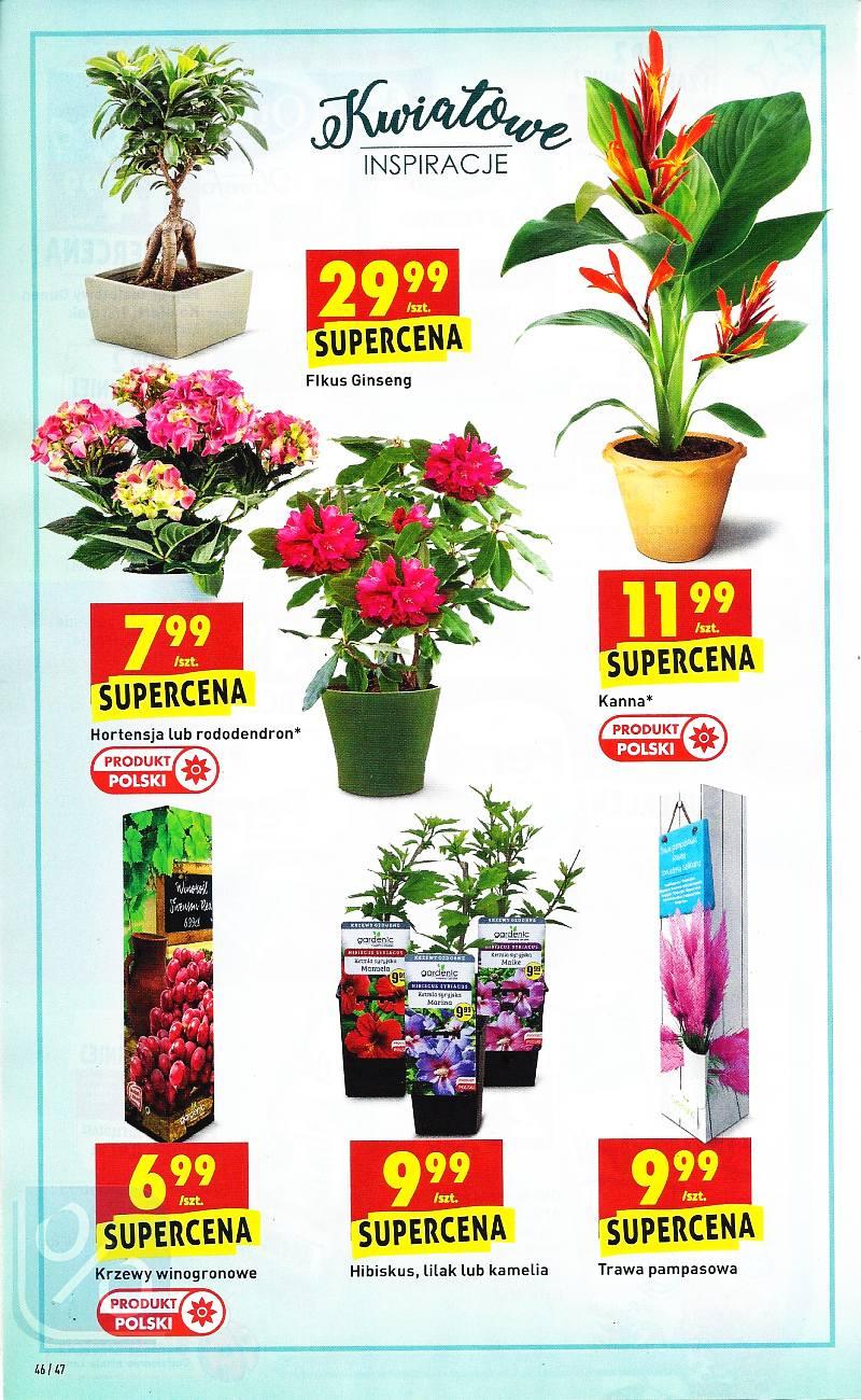 Gazetka promocyjna Biedronka str. 46