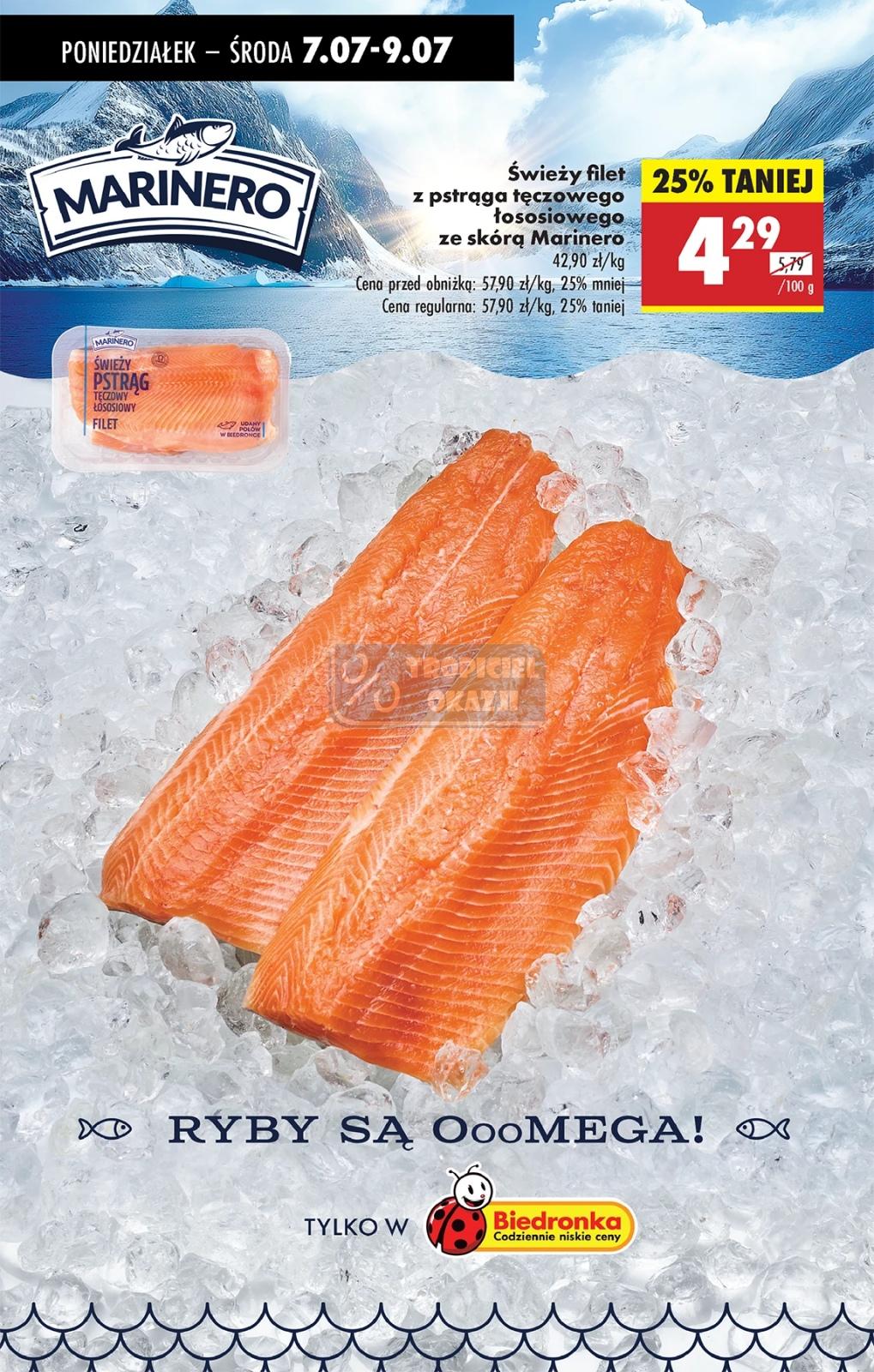 Gazetka promocyjna Biedronka str. 33