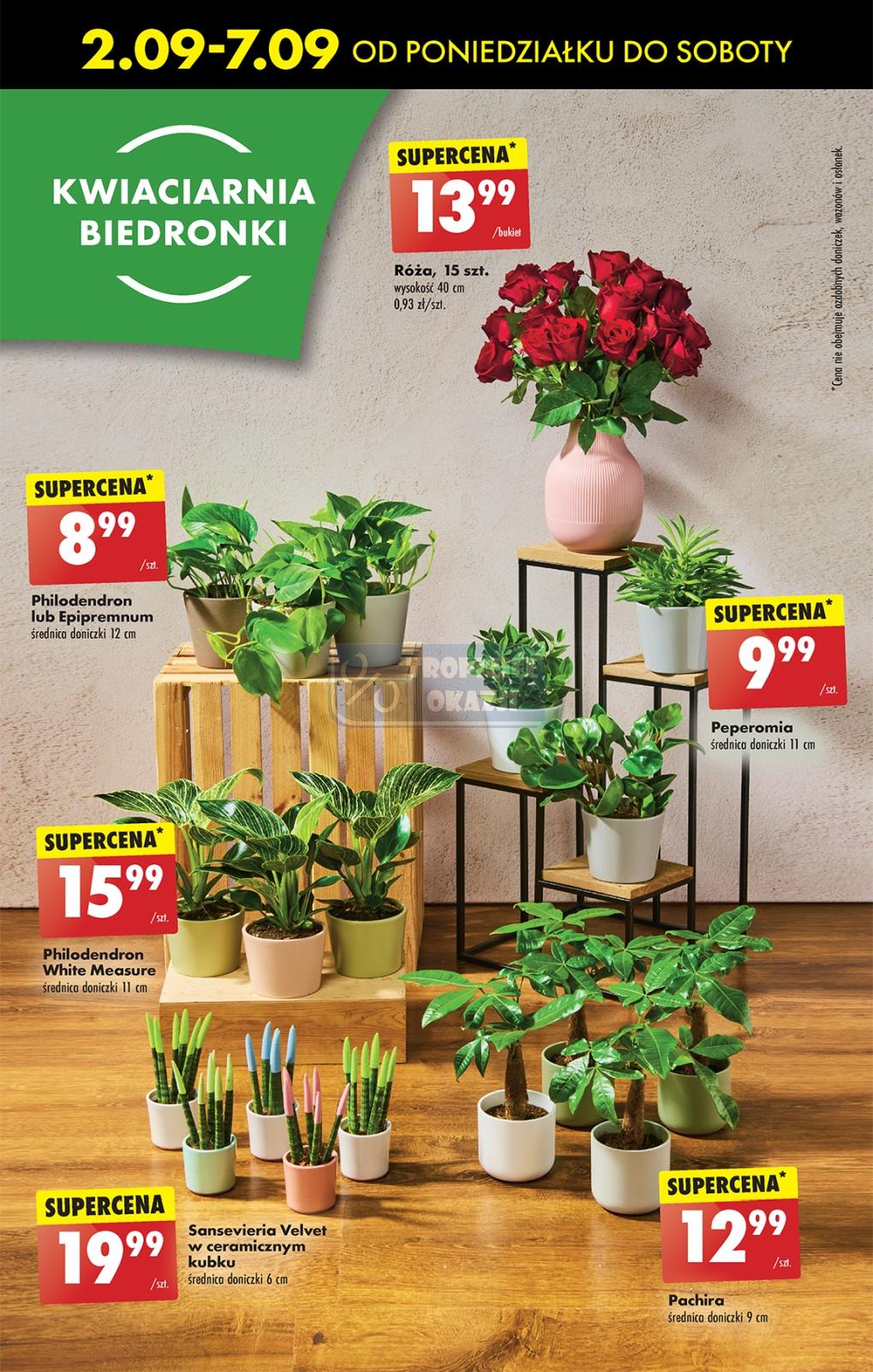 Gazetka promocyjna Biedronka str. 66