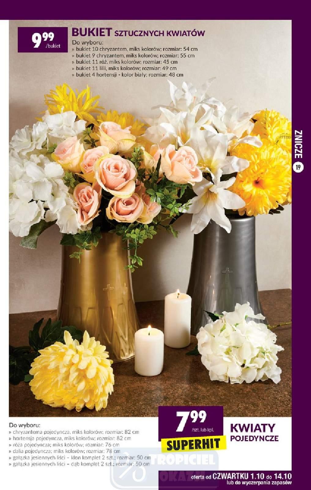 Gazetka promocyjna Biedronka str. 19