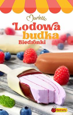 Lodowa budka Biedronki