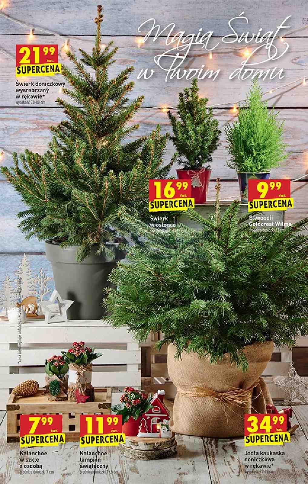 Gazetka promocyjna Biedronka str. 63