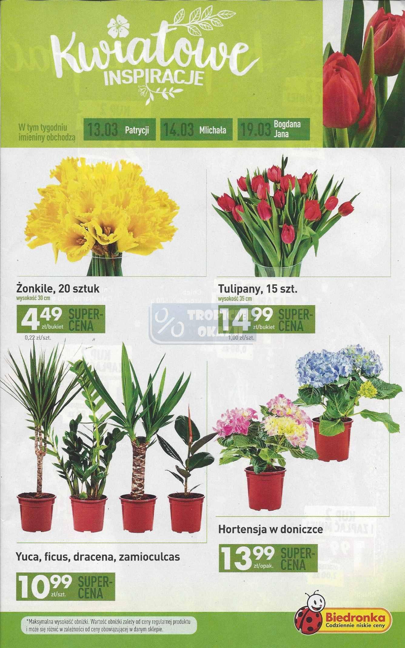 Gazetka promocyjna Biedronka str. 5